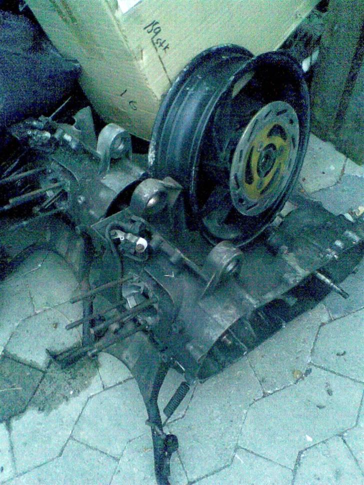 PGO t-rex TIL SALG årgang billede 6