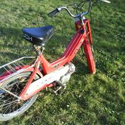 Puch maxi k