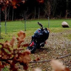 Peugeot TKR Furious * Xenon * 