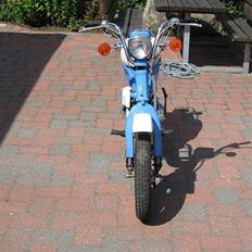 Suzuki Fz 50