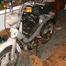 Piaggio grillo (SOLGT)