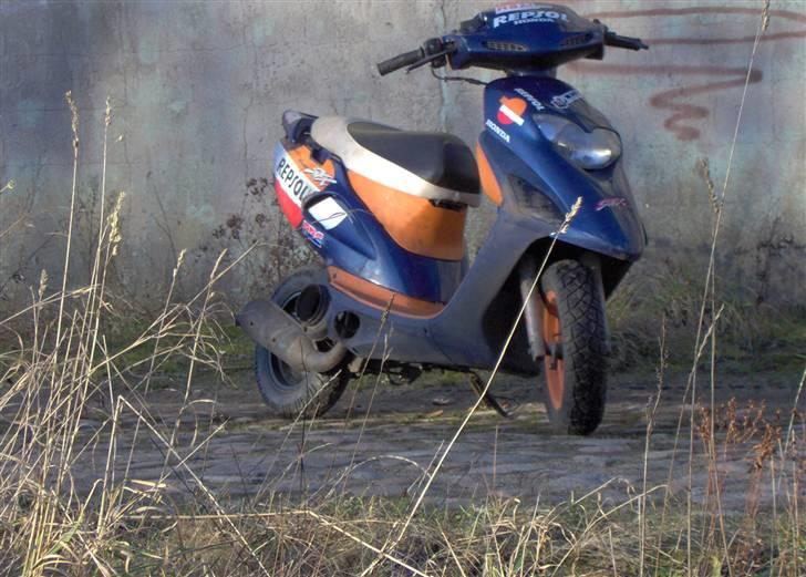 Honda SFX solgt;( billede 5