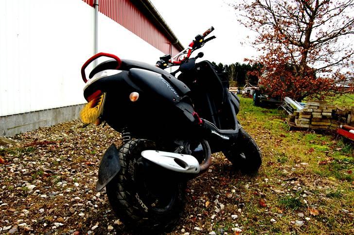 Peugeot TKR Furious * Xenon *  billede 2