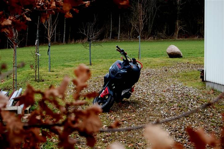 Peugeot TKR Furious * Xenon *  billede 3