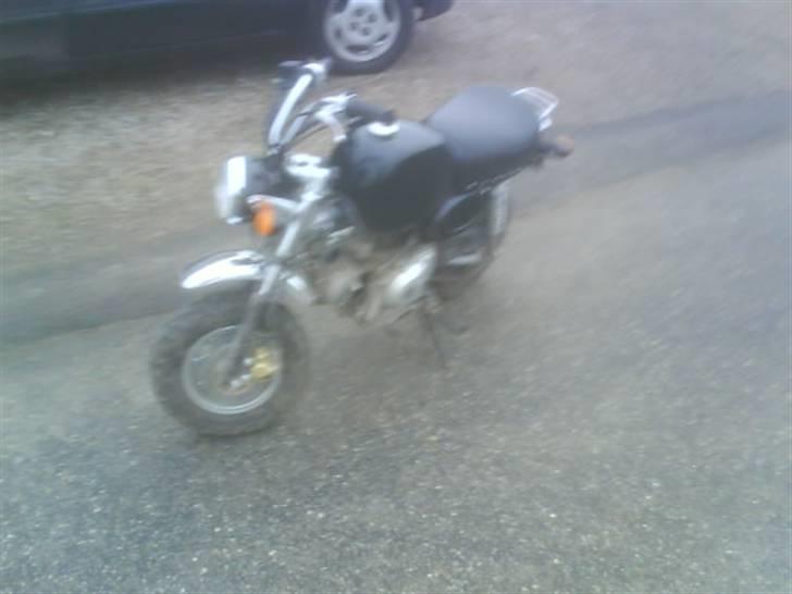 Skyteam Gorilla solgt R.I.P. billede 16