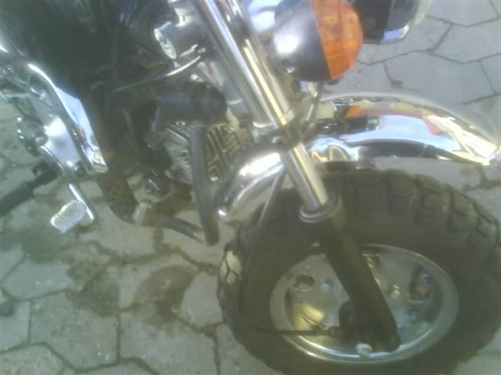 Skyteam Gorilla solgt R.I.P. billede 18