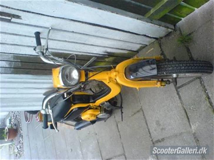 Suzuki Fz50 (solgt) billede 1