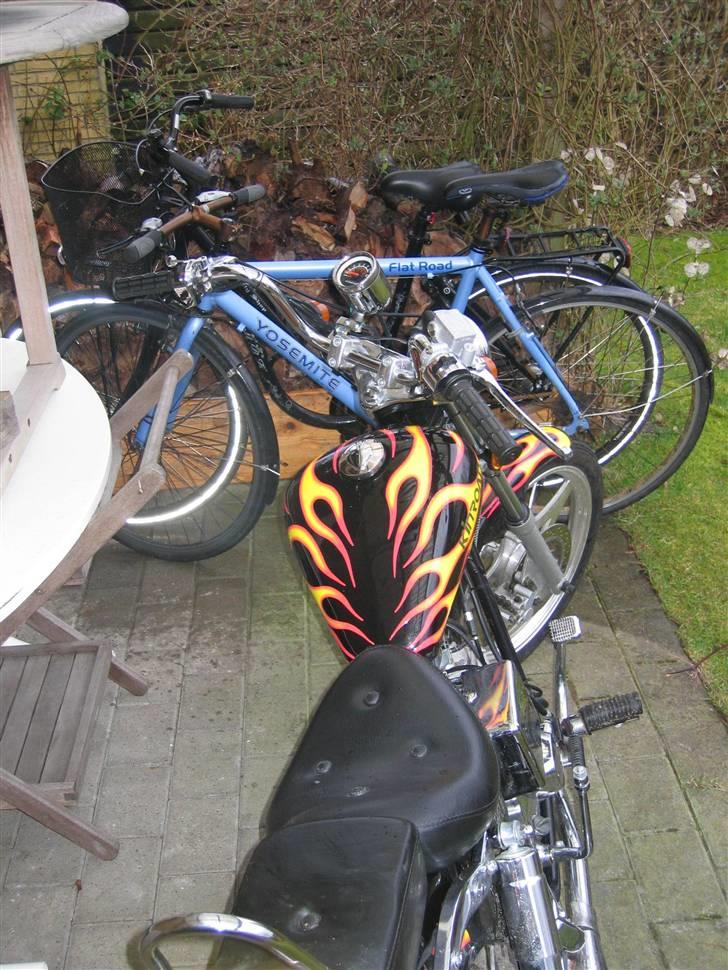 Kinroad Prince - solgt billede 2