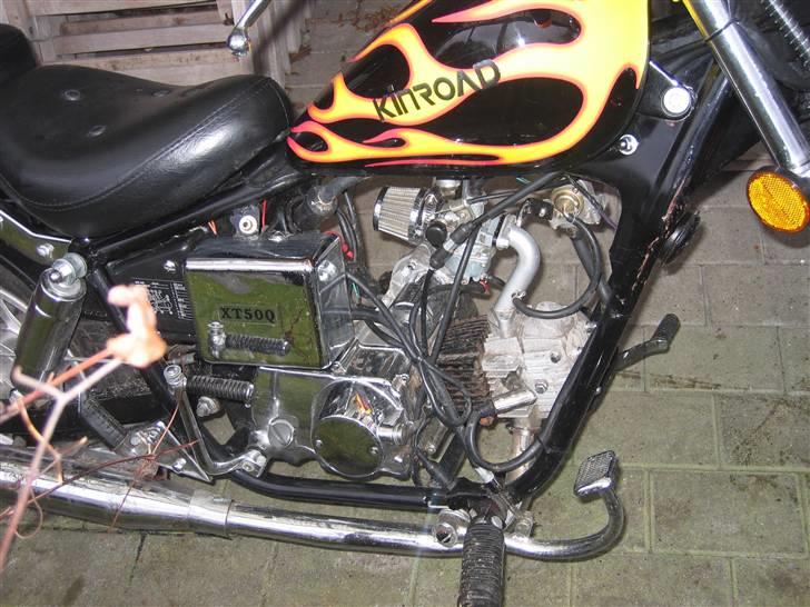 Kinroad Prince - solgt billede 4