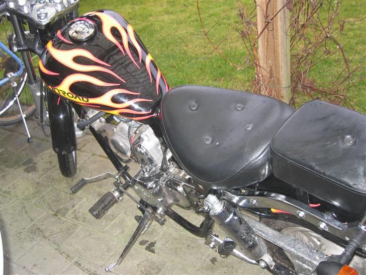 Kinroad Prince - solgt billede 6