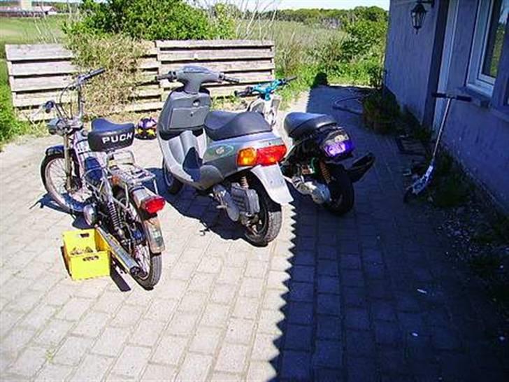 Puch maxi kl/2gear byttet væk billede 4