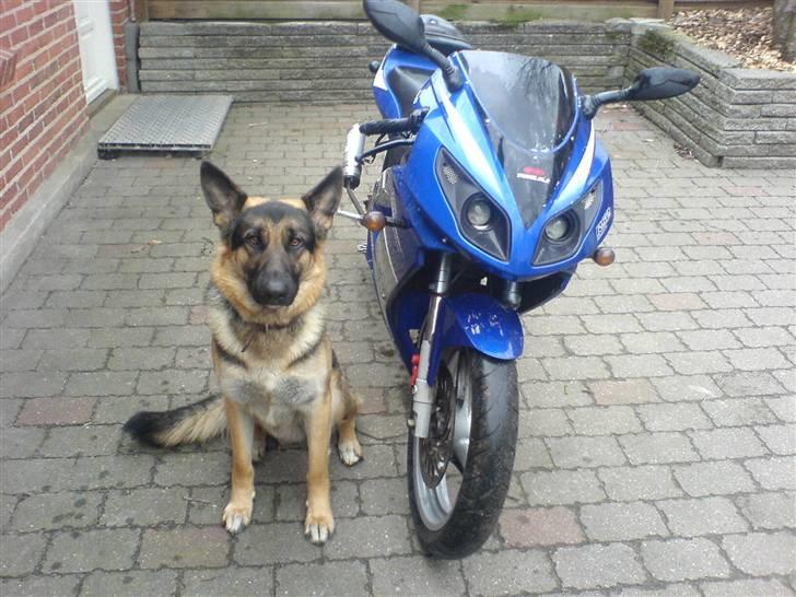 Rieju matrix rs2 solgt  billede 4