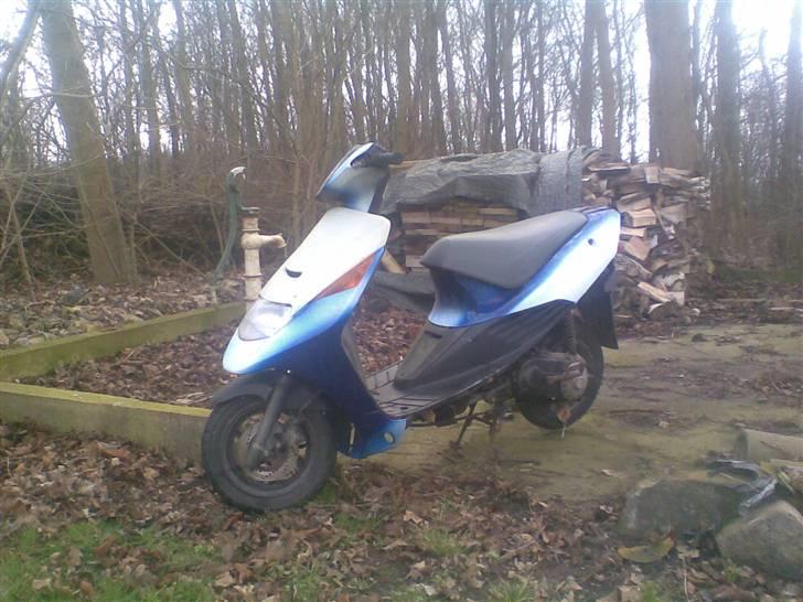 Suzuki ap 50 adrees (byttet) - som den så ud 21-02-2008 og for den farve her har den været gul og sort for 2 år siden billede 16