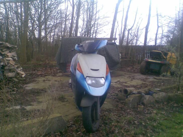 Suzuki ap 50 adrees (byttet) - som den så ud 21-02-2008 og for den farve her har den været gul og sort for 2 år siden billede 17