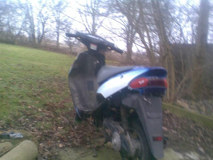 Suzuki ap 50 adrees (byttet) - som den så ud 21-02-2008 og for den farve her har den været gul og sort for 2 år siden billede 18