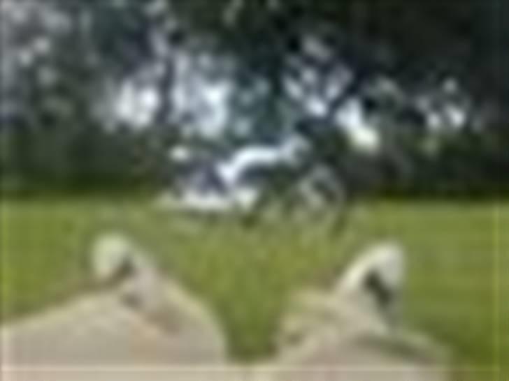 Yamaha 4 gear solgt billede 10