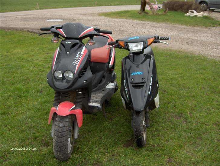 PGO pmx sport  solgt billede 7