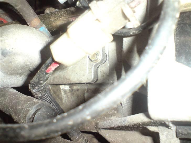 PGO hot 50 solgt billede 9