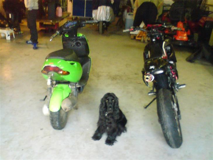 Aprilia sonic :) solgt billede 7