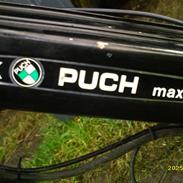 Puch maxi k/P (solgt)