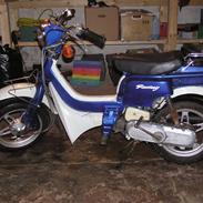 Suzuki FZ50