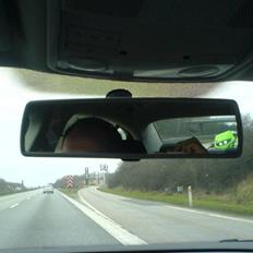 Suzuki Street Magic™ // Solgt !