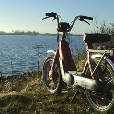 Vespa piaggio ciao BYTTES(FZ50)