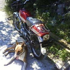 Suzuki samurai solgt