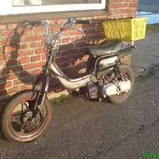 Suzuki Fz Æ' Spritter 