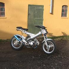 Sachs Madass  SOLGT