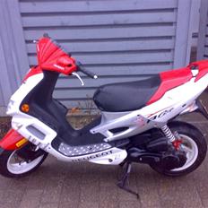 Peugeot speedfight 2 rallycup