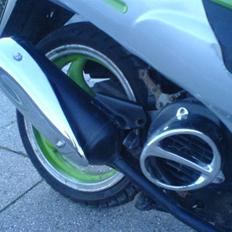 Giantco sprint (speedy)