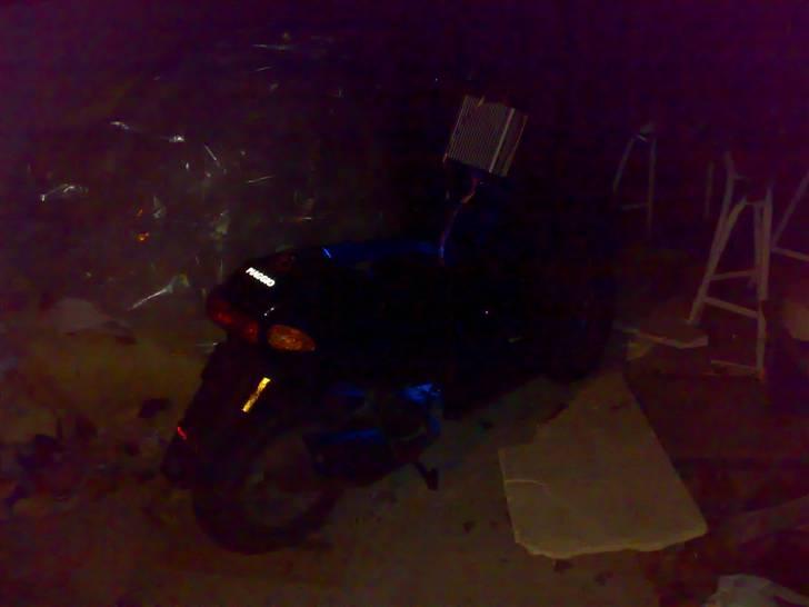 Piaggio typhoon (BYTTET TIL ZIP) billede 8