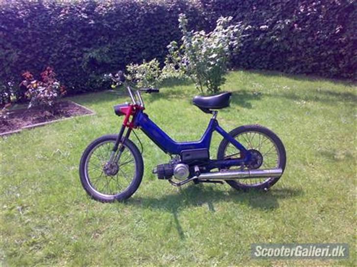 Puch maxi billede 2