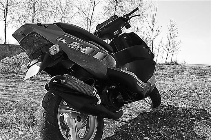 PGO Dr. Big - Malossi MHR billede 1