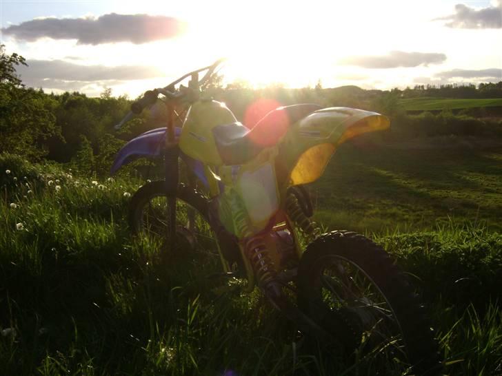 Puch Djurs Crosser - Byttet - Maj 2008 - Bakken i engen! billede 4