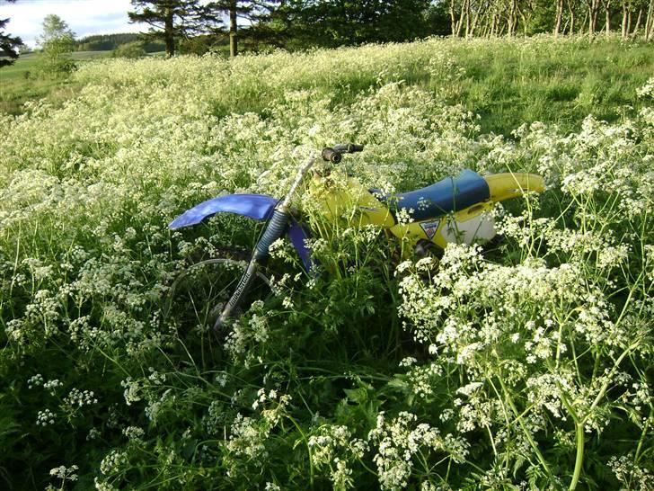 Puch Djurs Crosser - Byttet - Maj 2008 billede 11