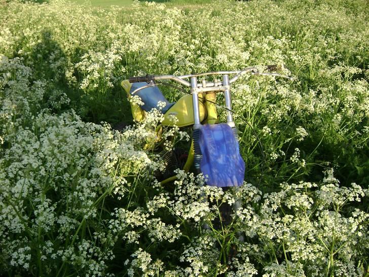 Puch Djurs Crosser - Byttet - Maj 2008 billede 12