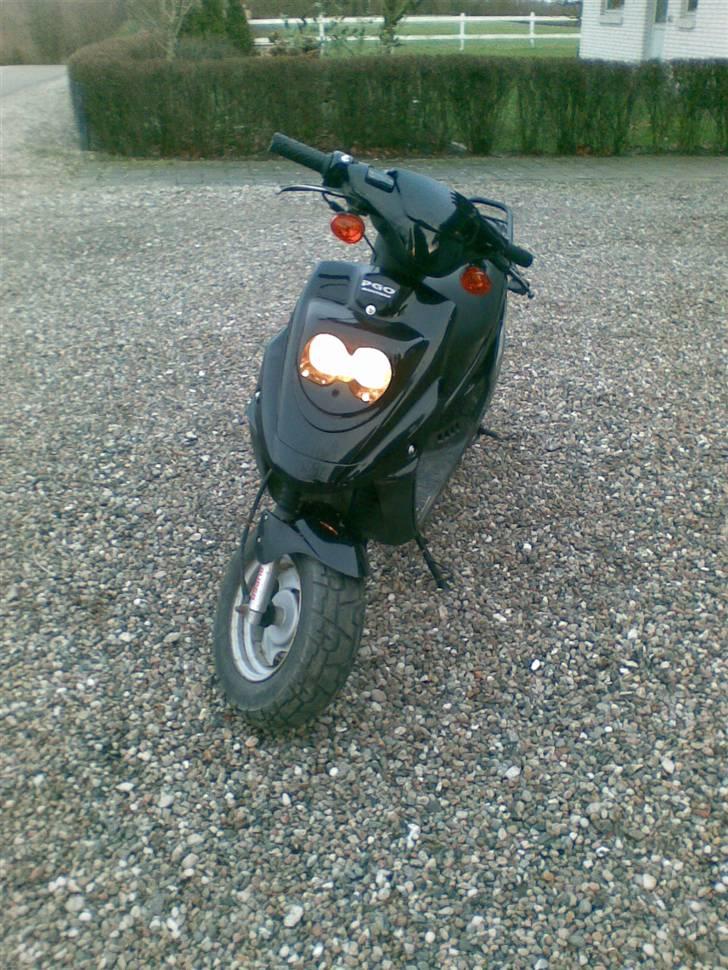 PGO Hot 50  billede 8