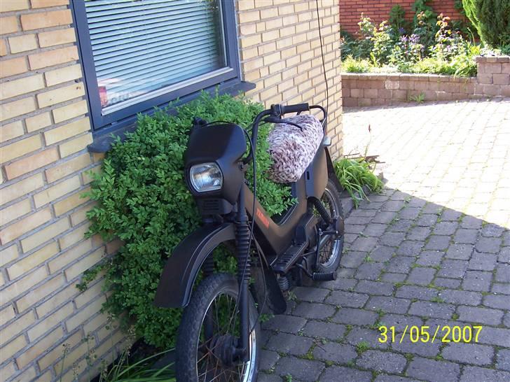 Yamaha Sting (solgt)  billede 1