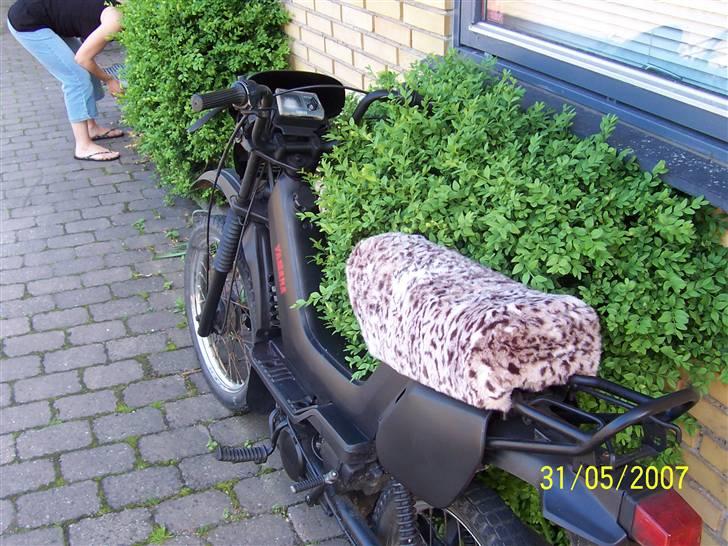 Yamaha Sting (solgt)  billede 2