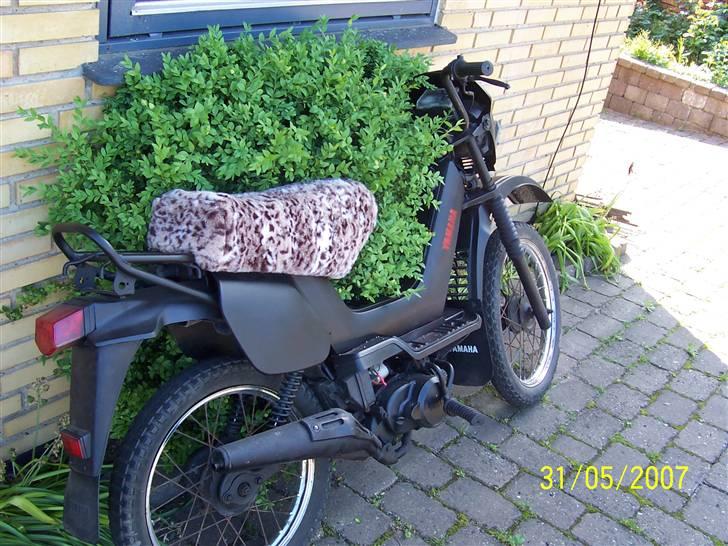 Yamaha Sting (solgt)  billede 5