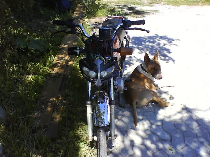 Suzuki samurai solgt billede 5