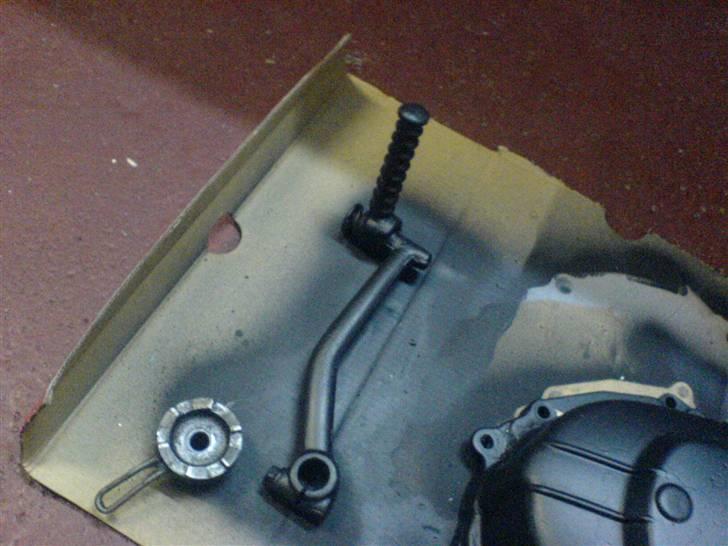 Adly silver fox TIL SALG billede 4