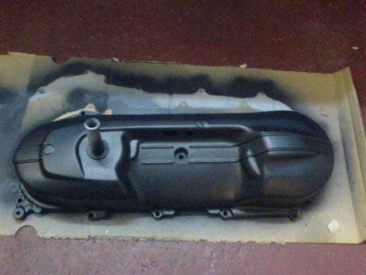 Adly silver fox TIL SALG billede 5