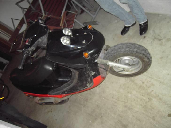 Adly Falcon billede 1