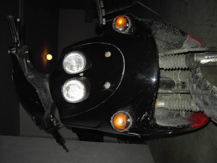 Adly Falcon billede 2