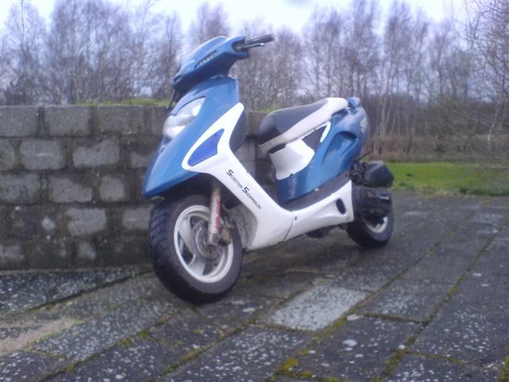 Honda SFX [ SOLGT ] billede 15