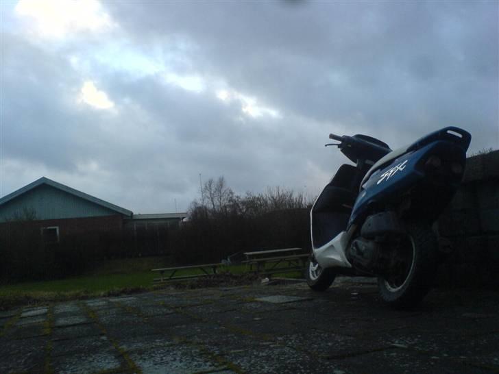 Honda SFX [ SOLGT ] billede 16