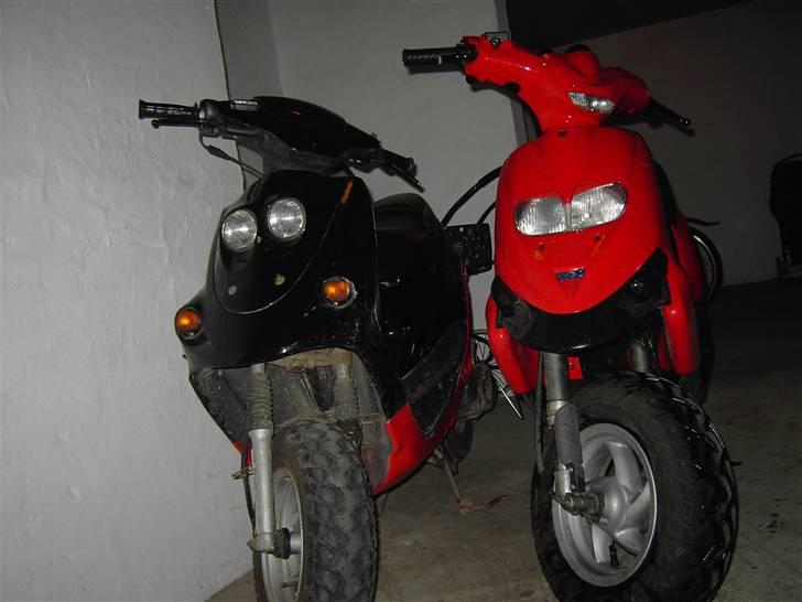 Adly Falcon billede 3